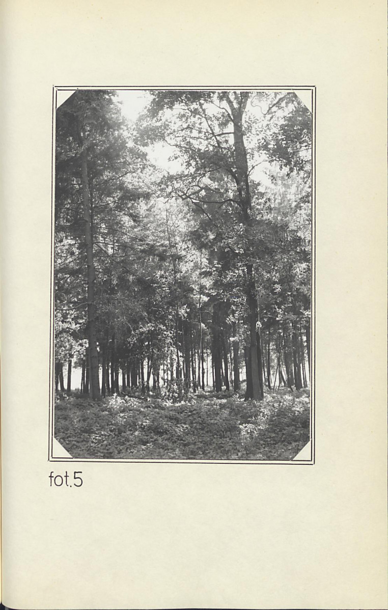 EP - Ewidencja parkowa, skan nr 22