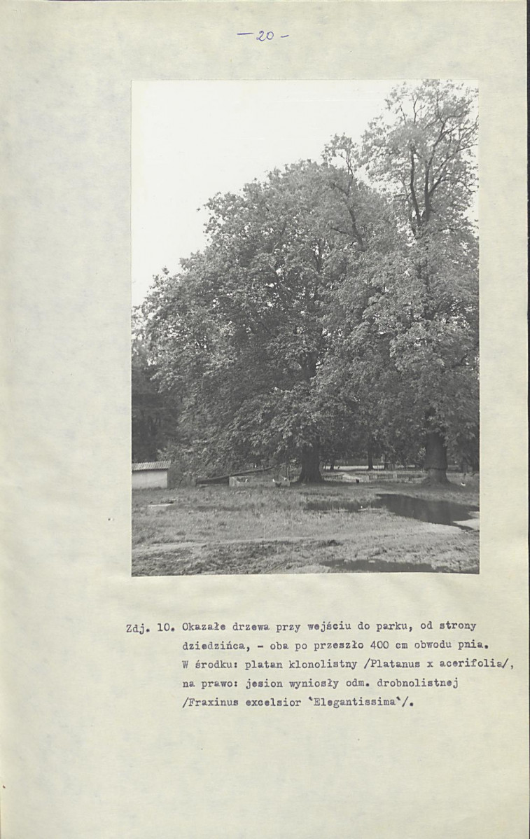 EP - Ewidencja parkowa, skan nr 27