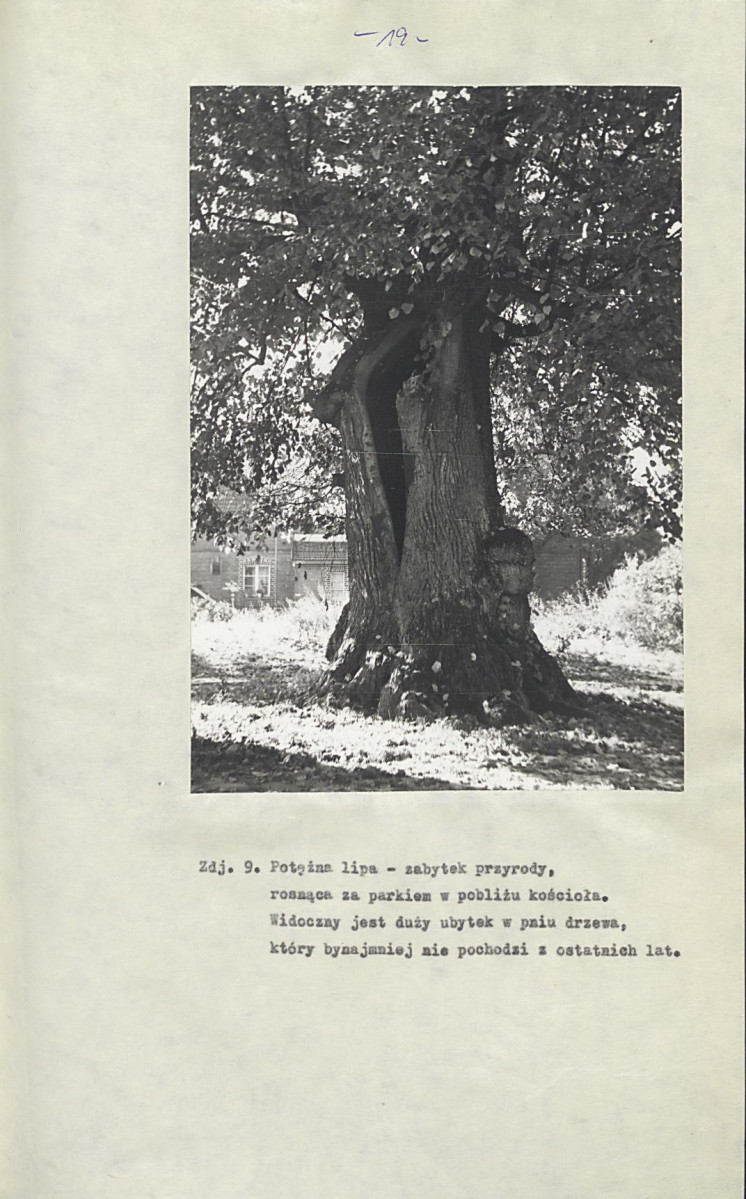 EP - Ewidencja parkowa, skan nr 26