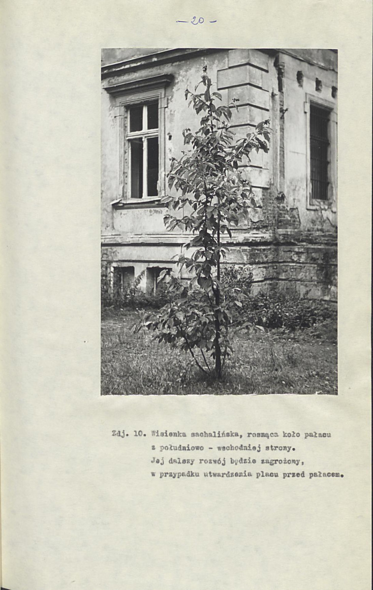 EP - Ewidencja parkowa, skan nr 27