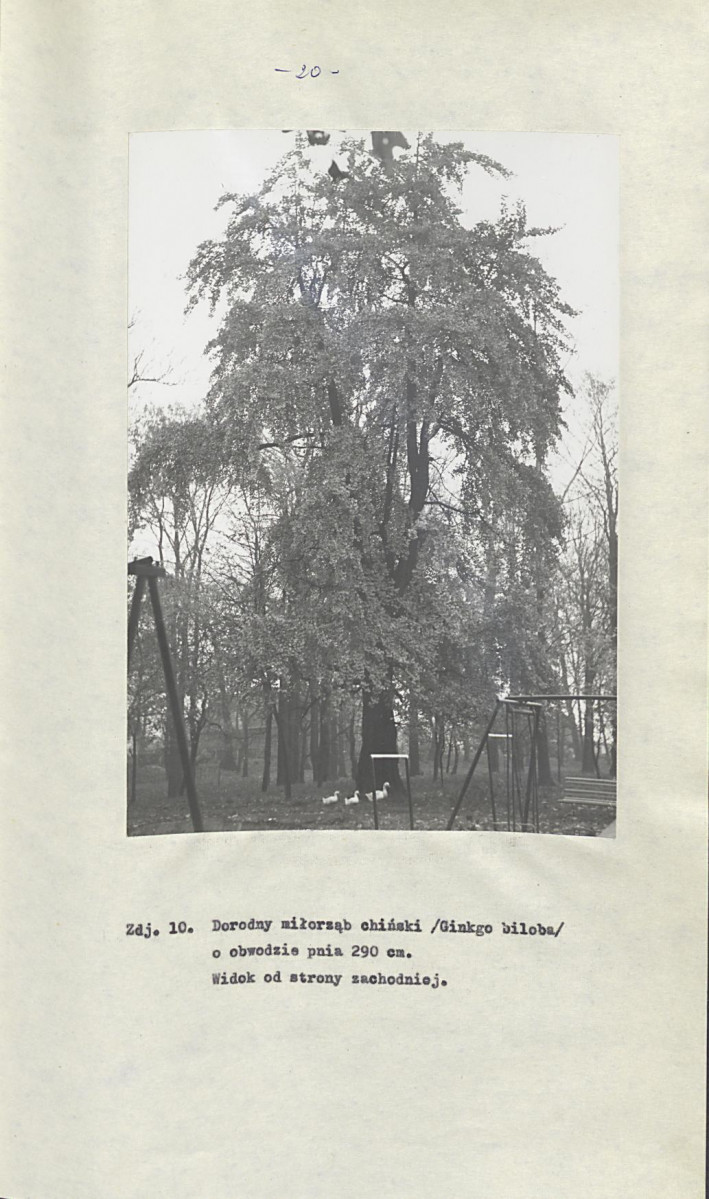 EP - Ewidencja parkowa, skan nr 28
