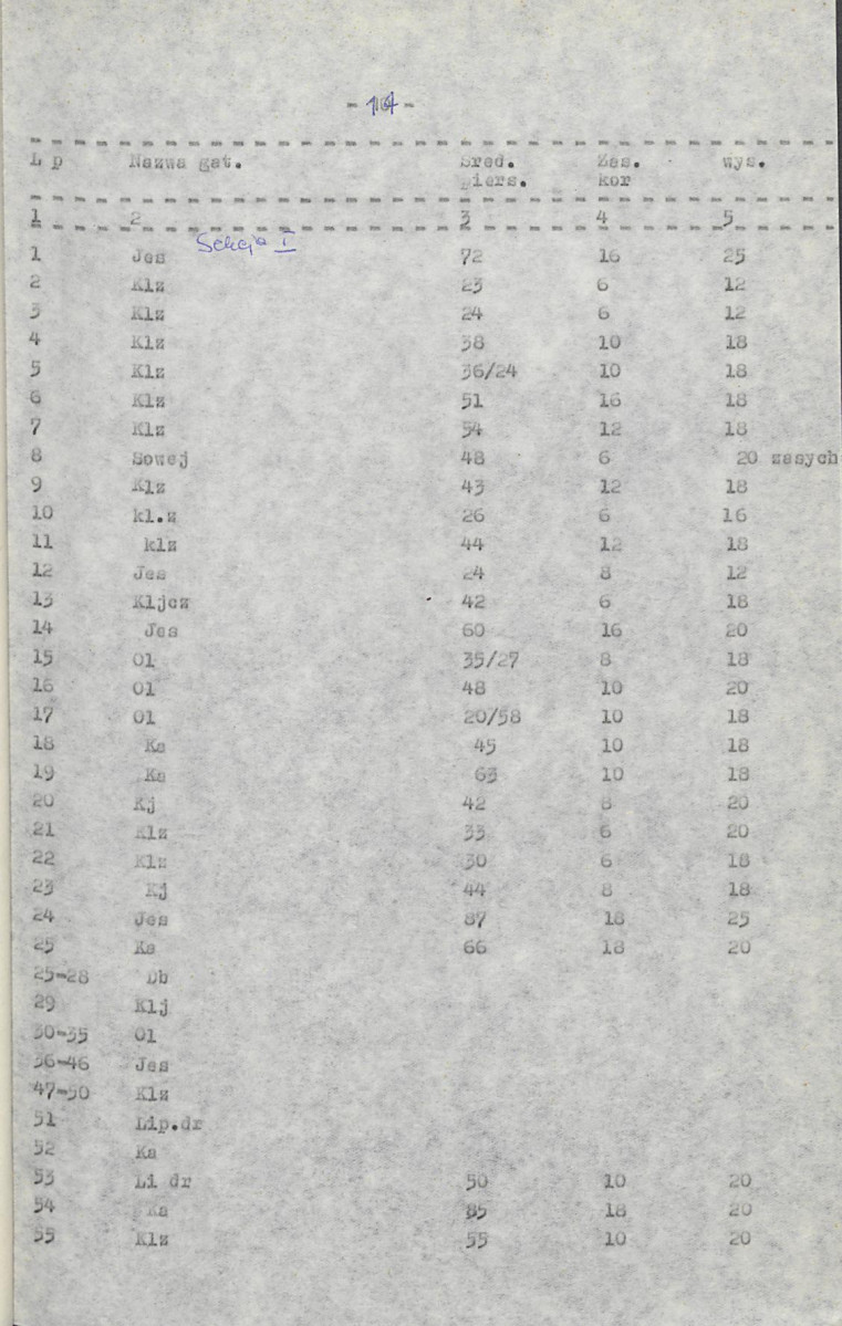 Ewidencja parkowa, skan nr 24