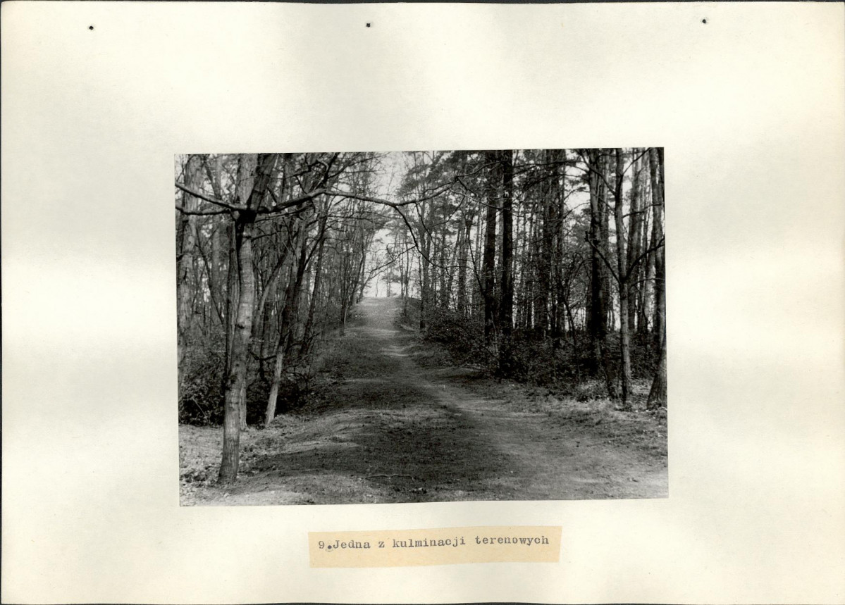 EP - Ewidencja parkowa, skan nr 22