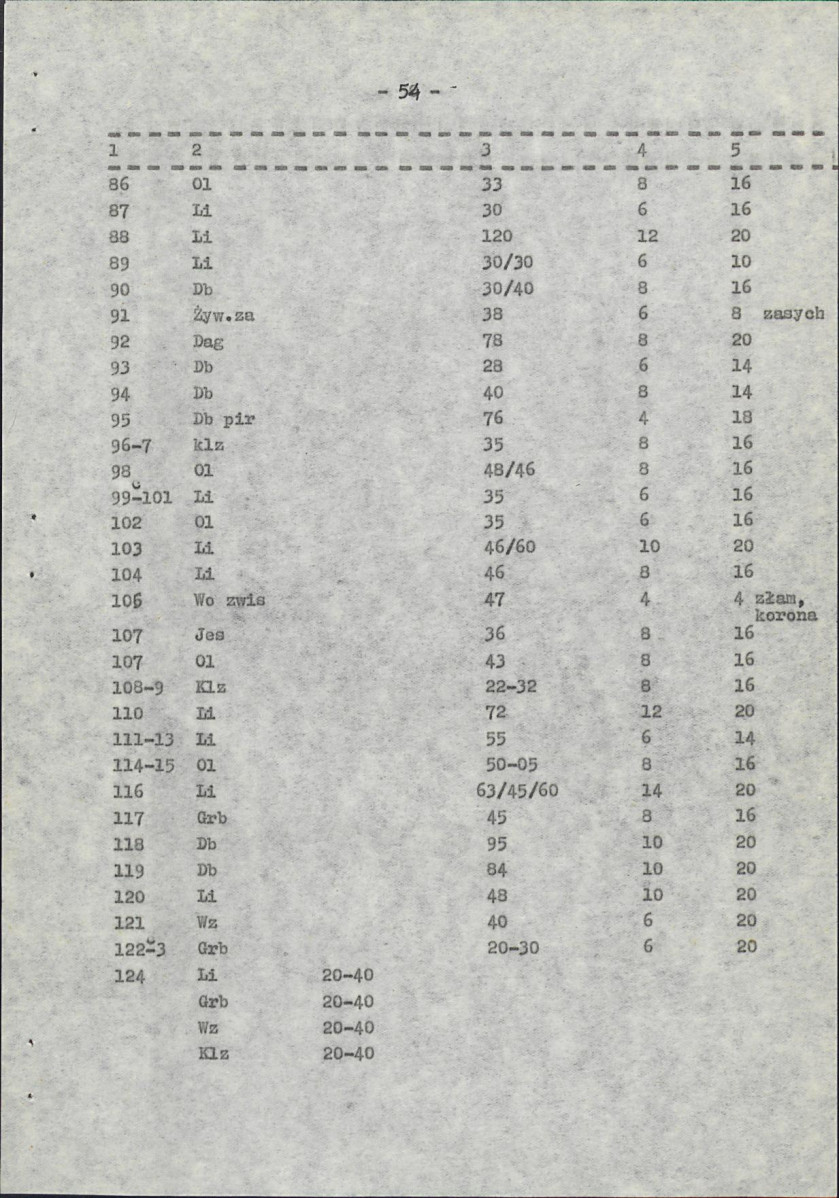 Ewidencja parkowa, skan nr 64