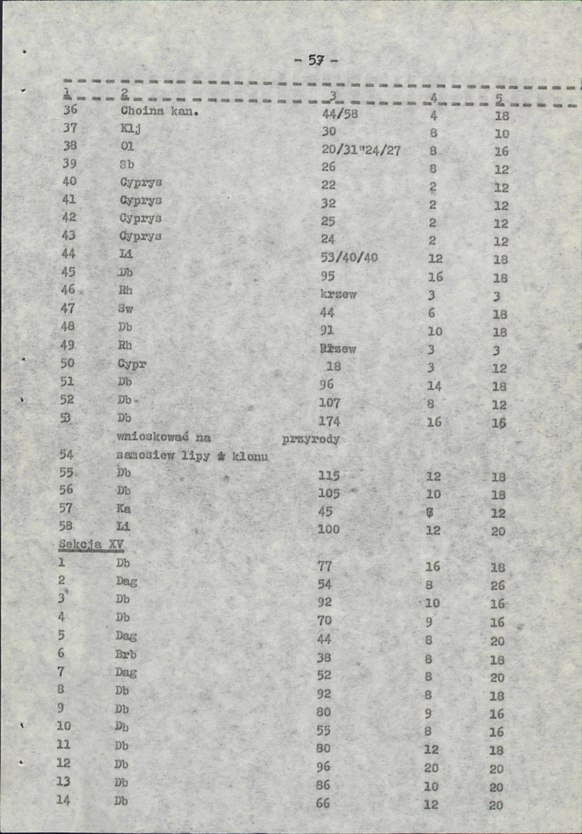 Ewidencja parkowa, skan nr 67