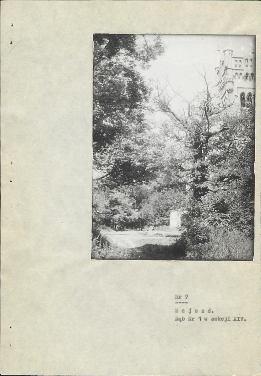 Ewidencja parkowa, skan nr 82