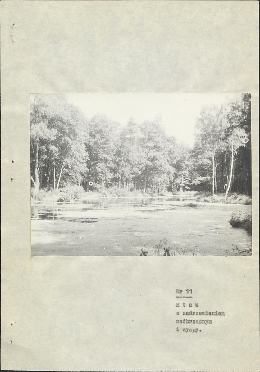 Ewidencja parkowa, skan nr 86