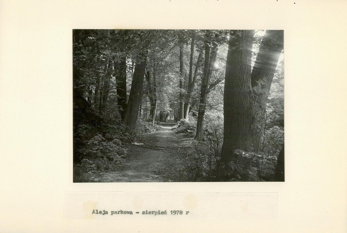 EP - Ewidencja parkowa, skan nr 28
