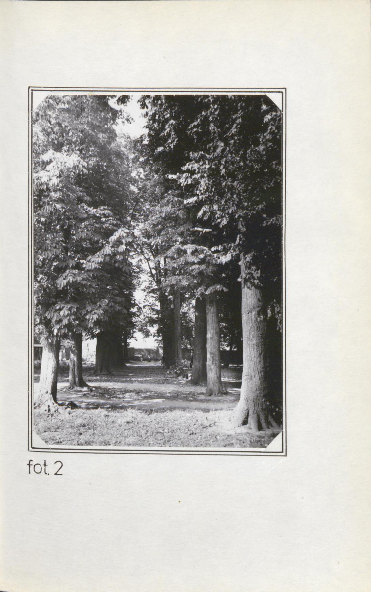 Ewidencja parkowa, skan nr 23
