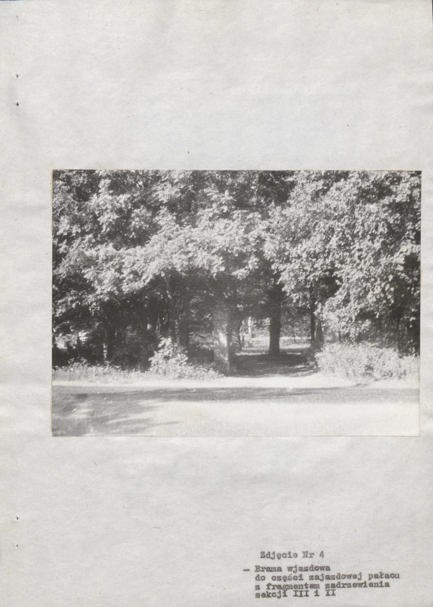 Ewidencja parkowa, skan nr 54