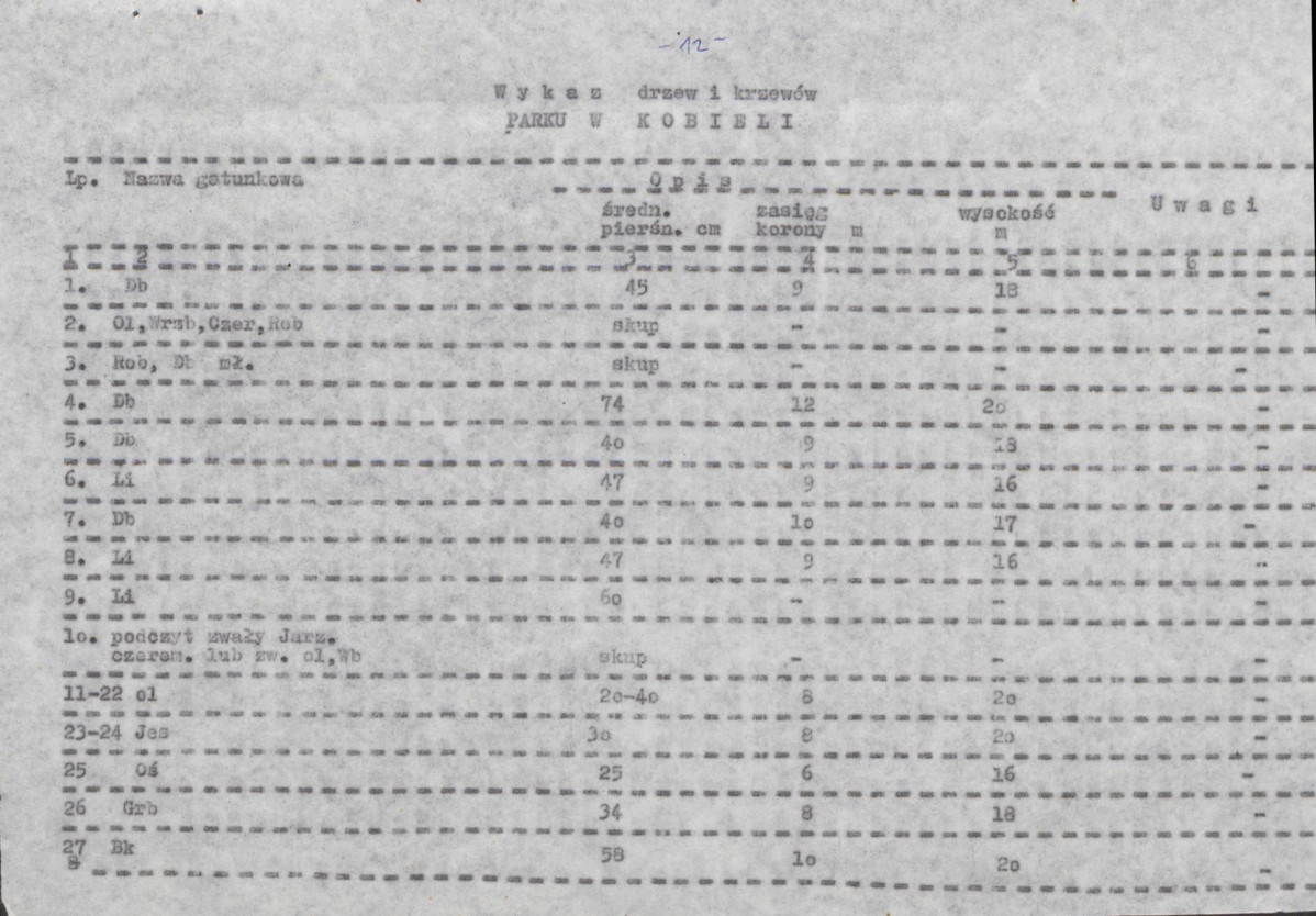 Ewidencja parkowa, skan nr 21