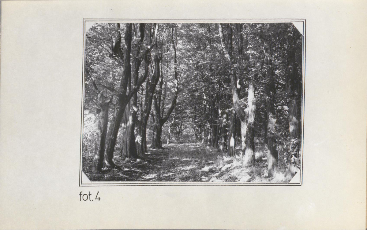 EP - Ewidencja parkowa, skan nr 23