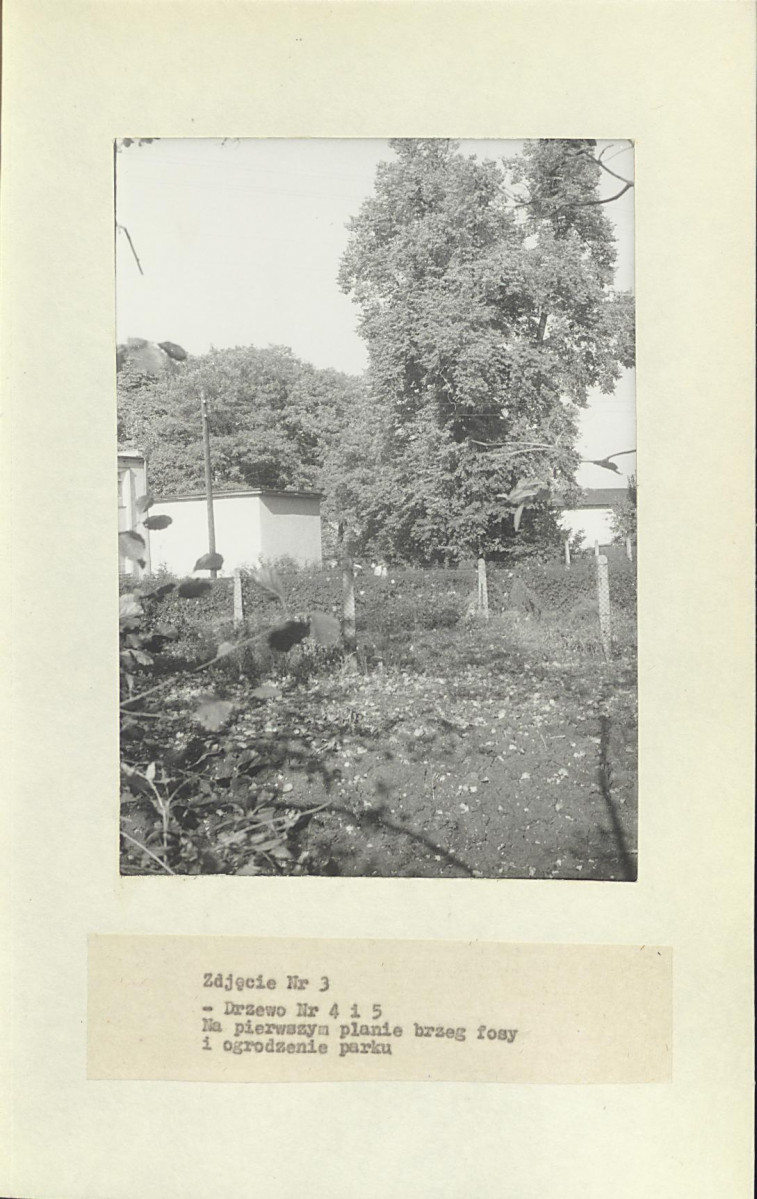 Ewidencja parkowa, skan nr 29