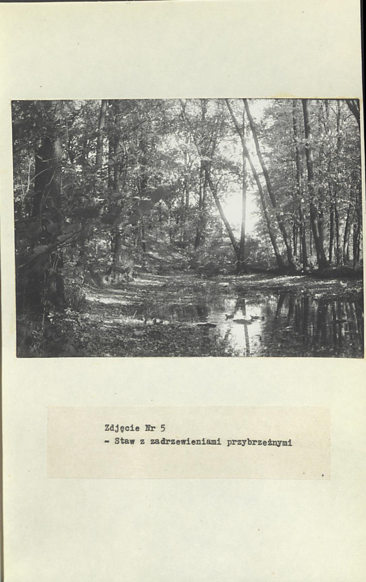 Ewidencja parkowa, skan nr 31