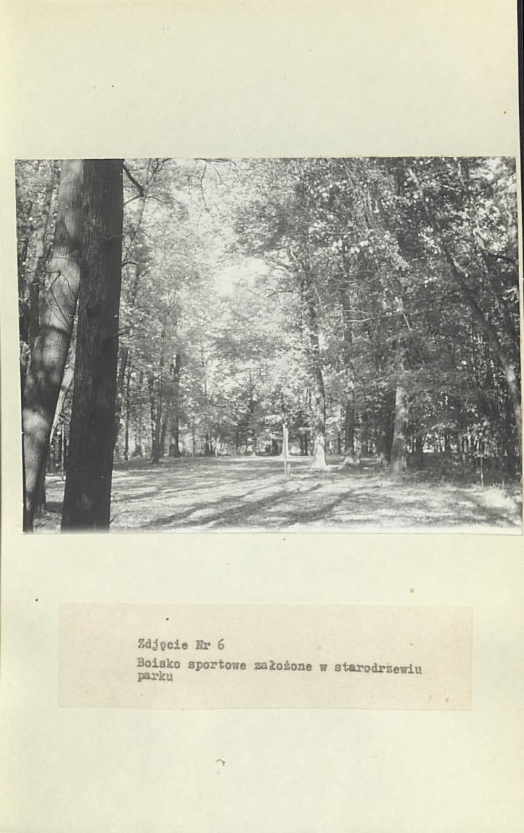 Ewidencja parkowa, skan nr 32