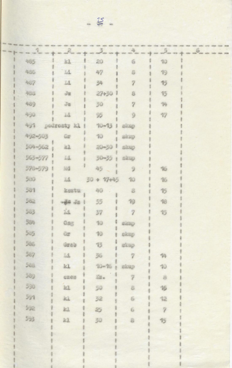 Ewidencja parkowa, skan nr 33