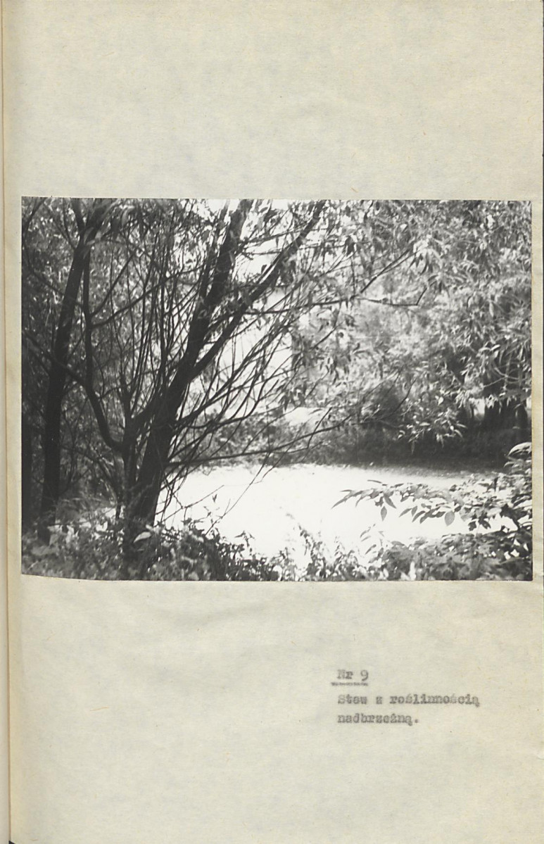 Ewidencja parkowa, skan nr 48