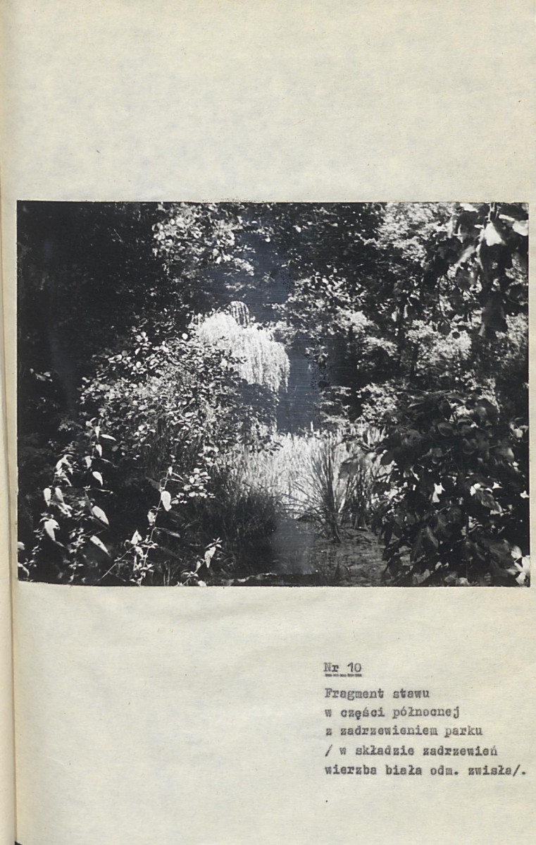 Ewidencja parkowa, skan nr 49