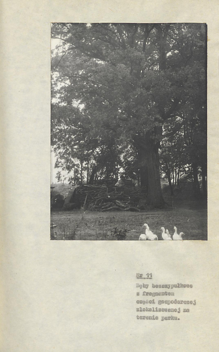 Ewidencja parkowa, skan nr 50