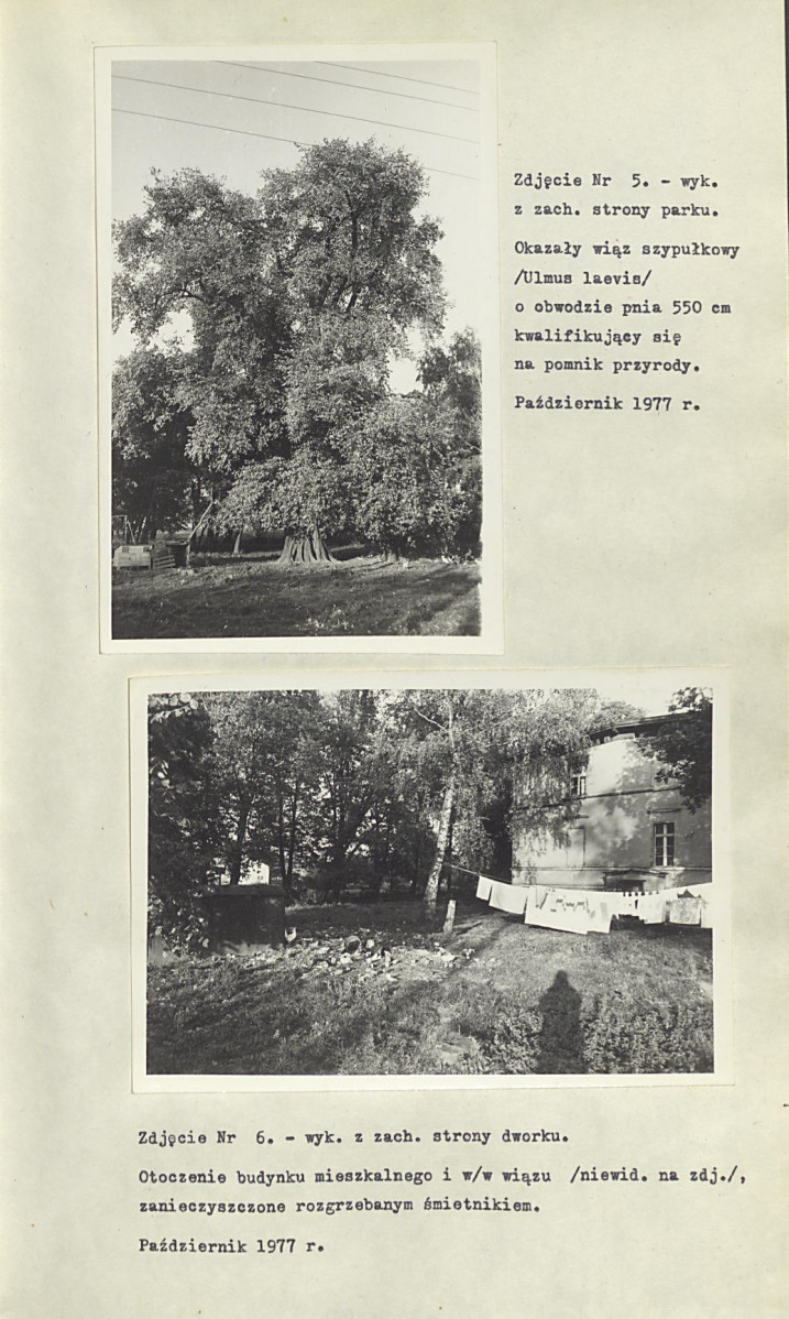 EP - Ewidencja parkowa, skan nr 19