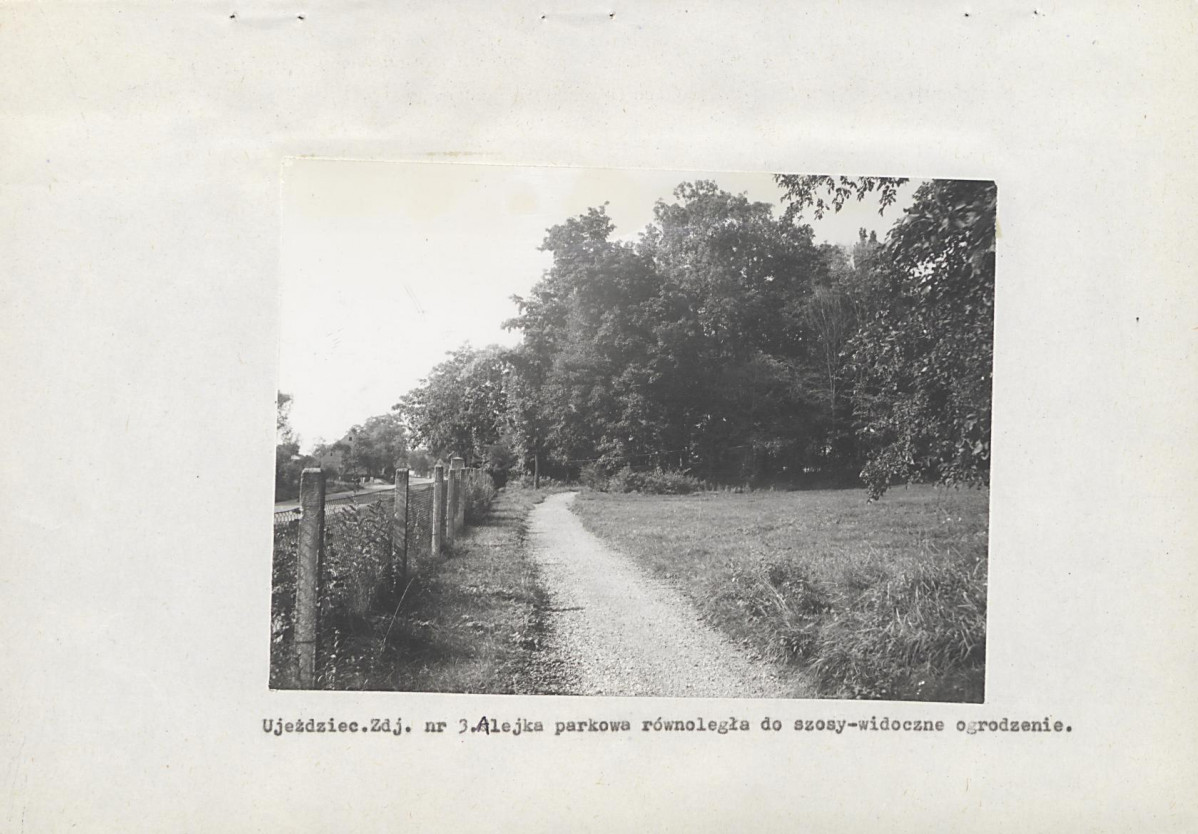 EP - Ewidencja parkowa, skan nr 21