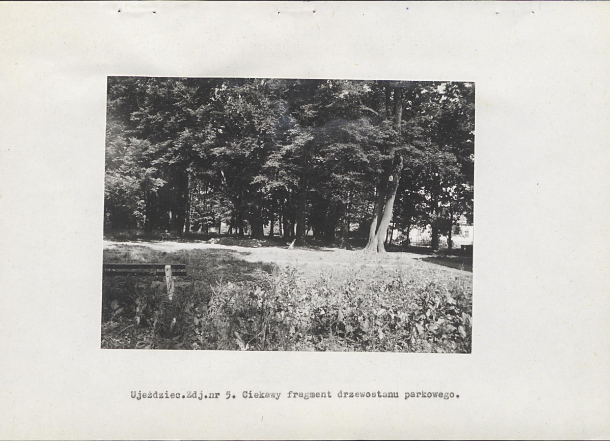 EP - Ewidencja parkowa, skan nr 23