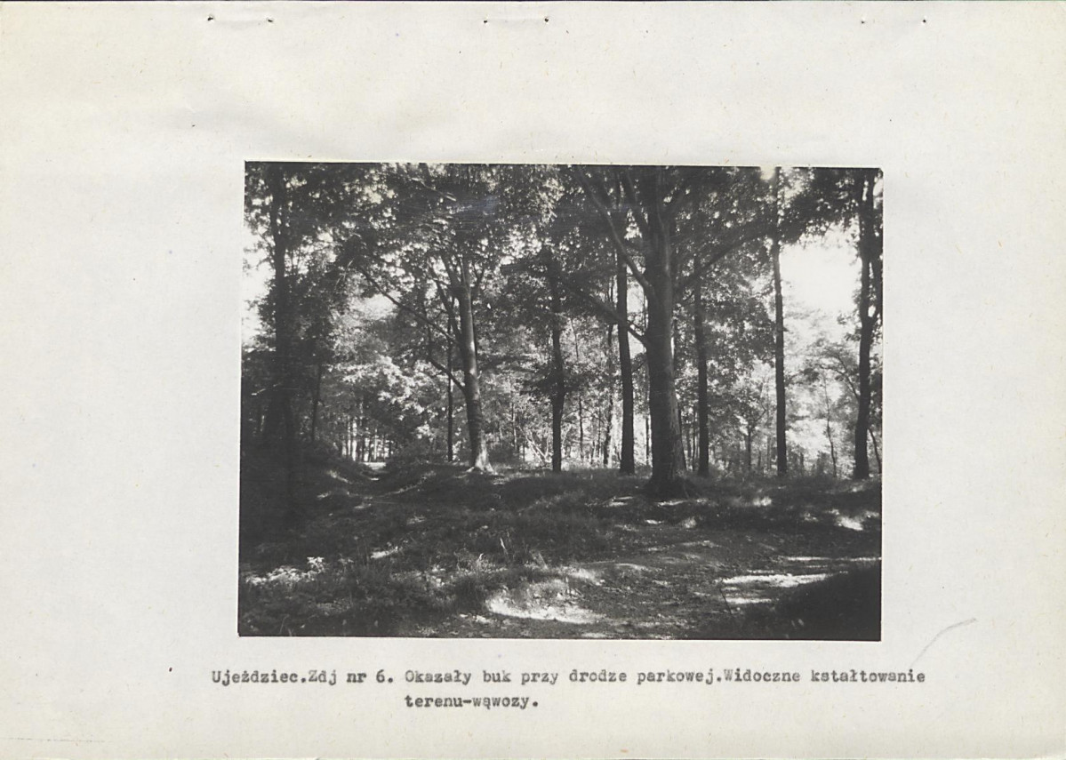 EP - Ewidencja parkowa, skan nr 24