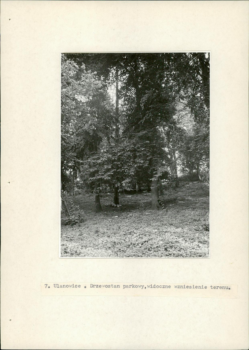 EP - Ewidencja parkowa, skan nr 26