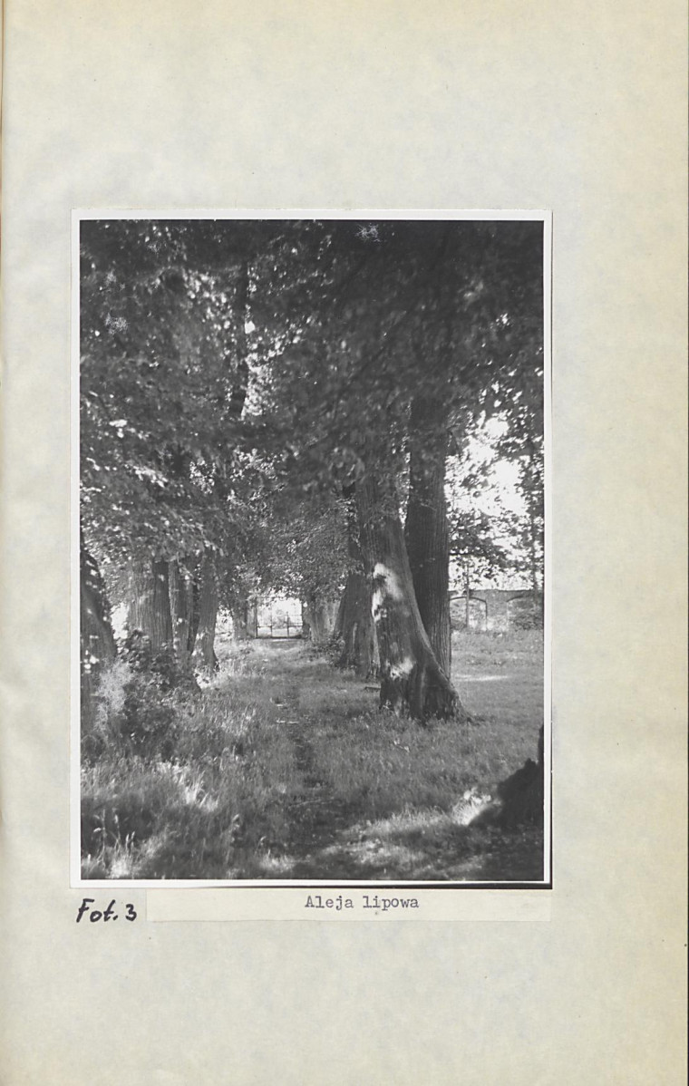 Ewidencja parkowa, skan nr 23