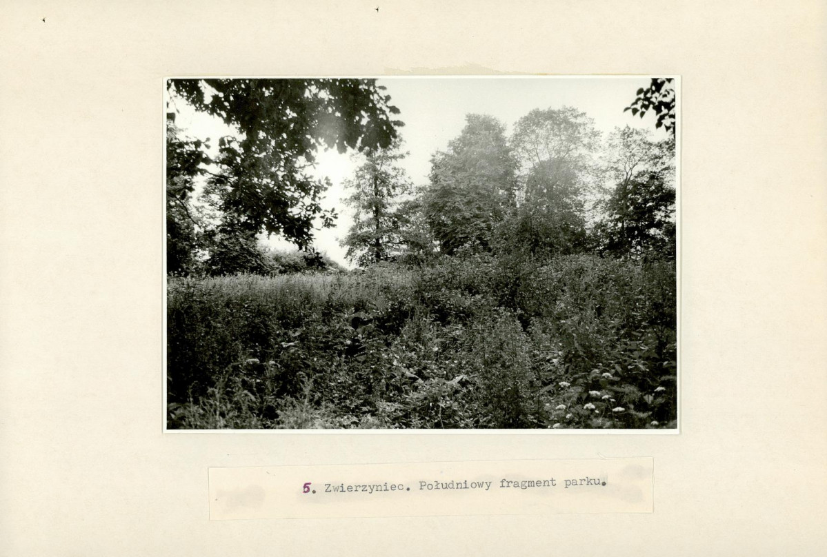 EP - Ewidencja parkowa, skan nr 19