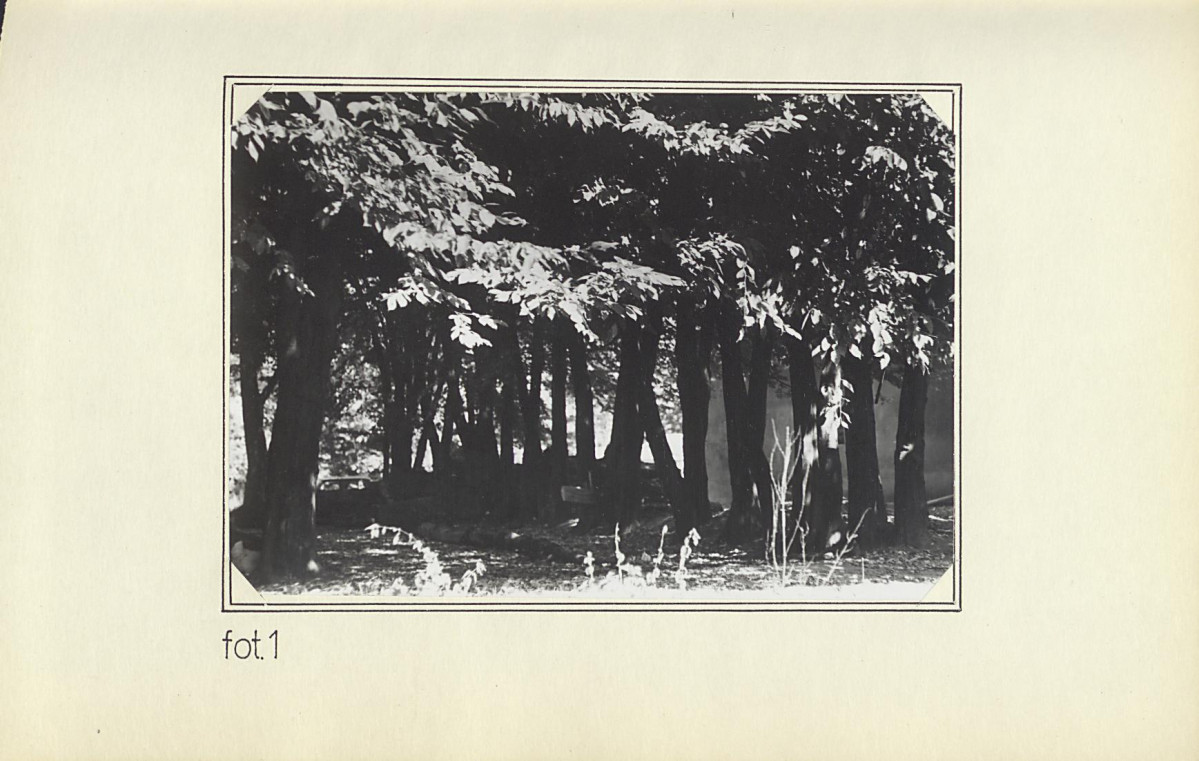 EP - Ewidencja parkowa, skan nr 17