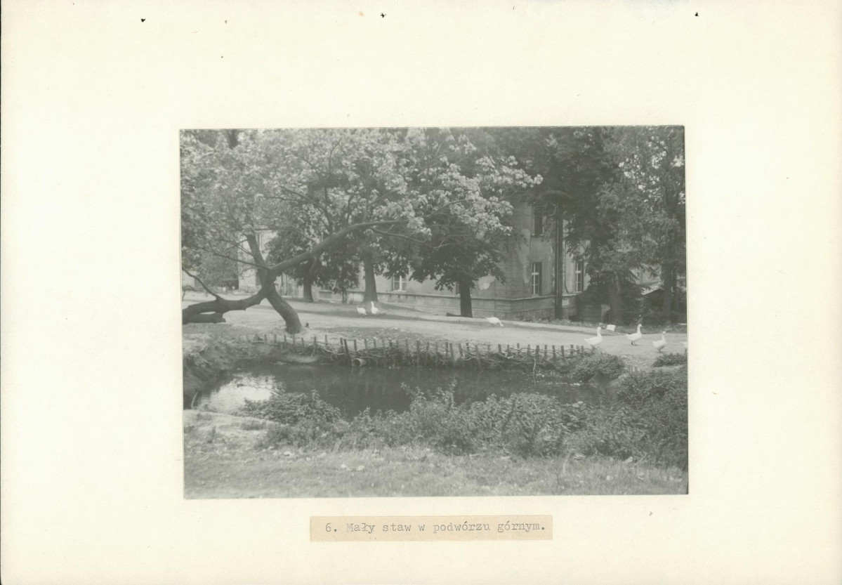 EP - Ewidencja parkowa, skan nr 19