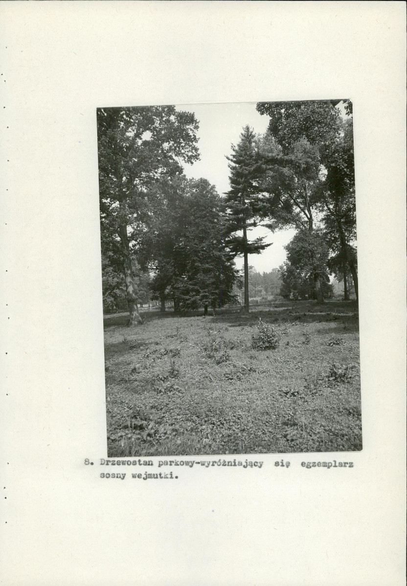 EP - Ewidencja parkowa, skan nr 38