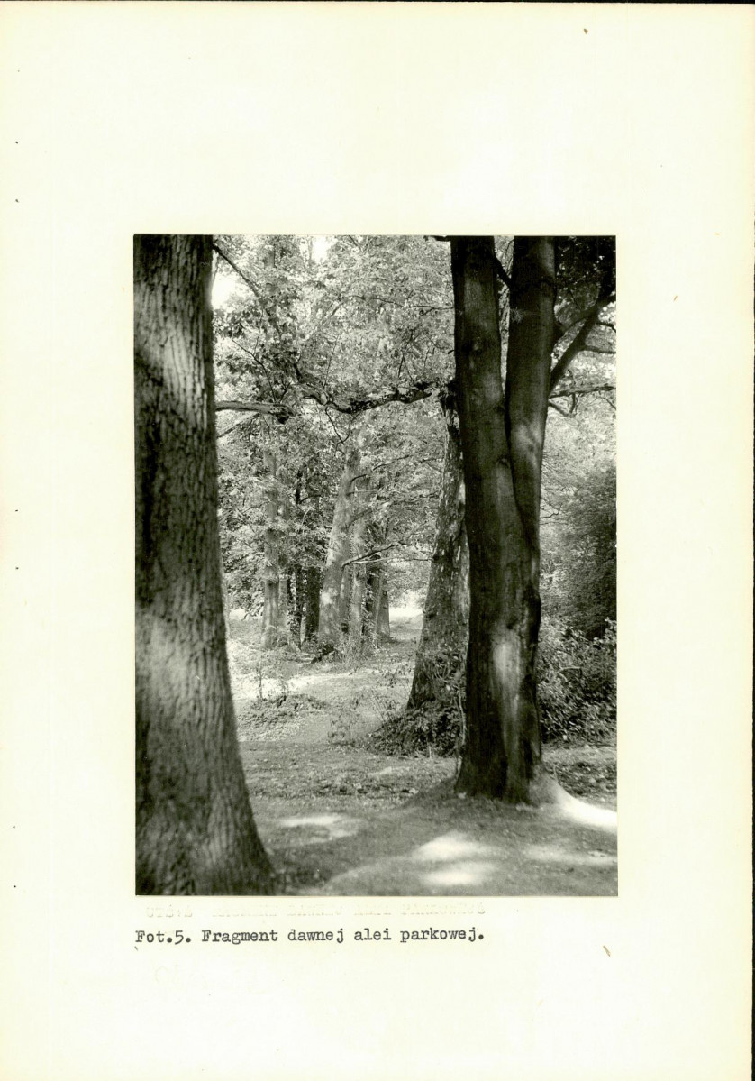 Ewidencja parkowa, skan nr 20