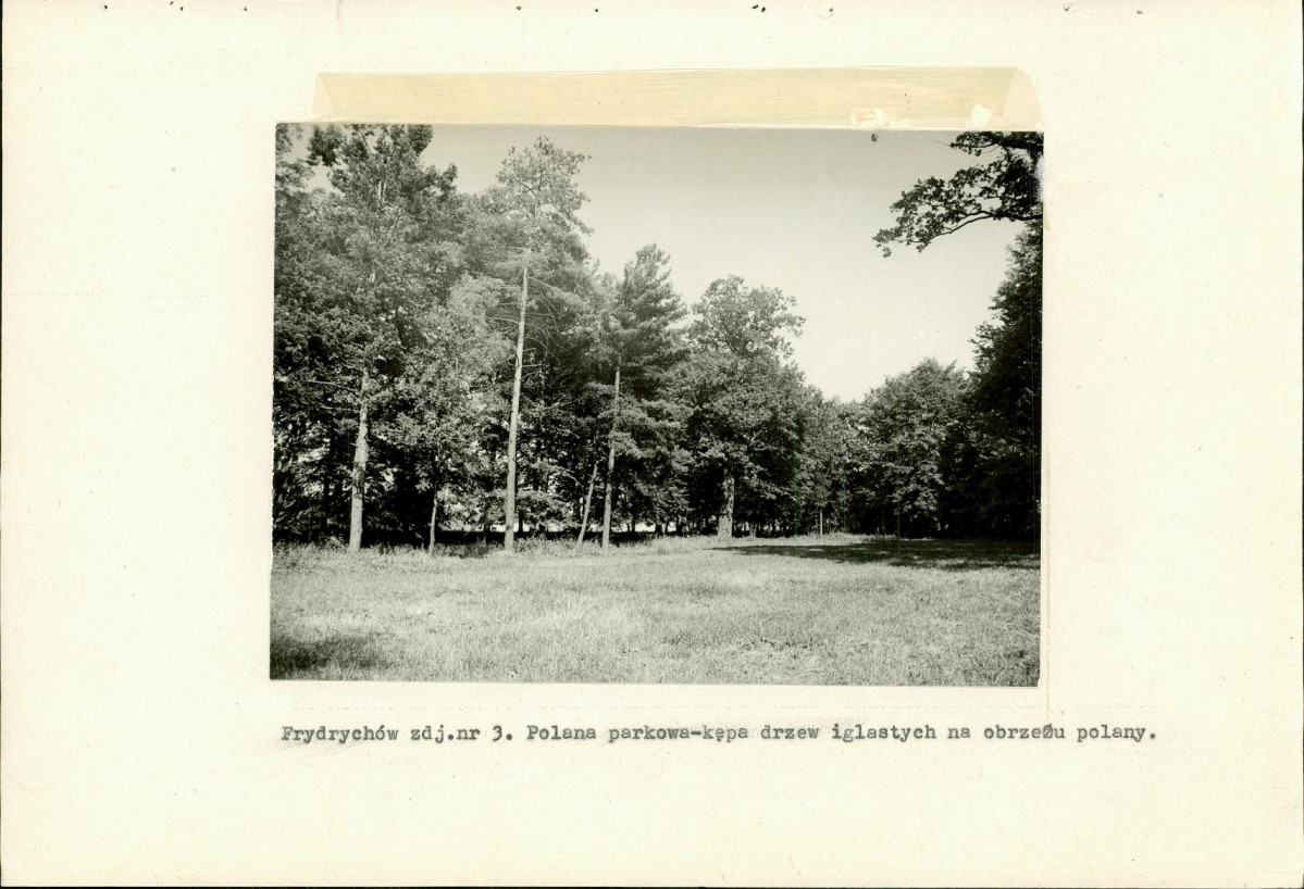 EP - Ewidencja parkowa, skan nr 24