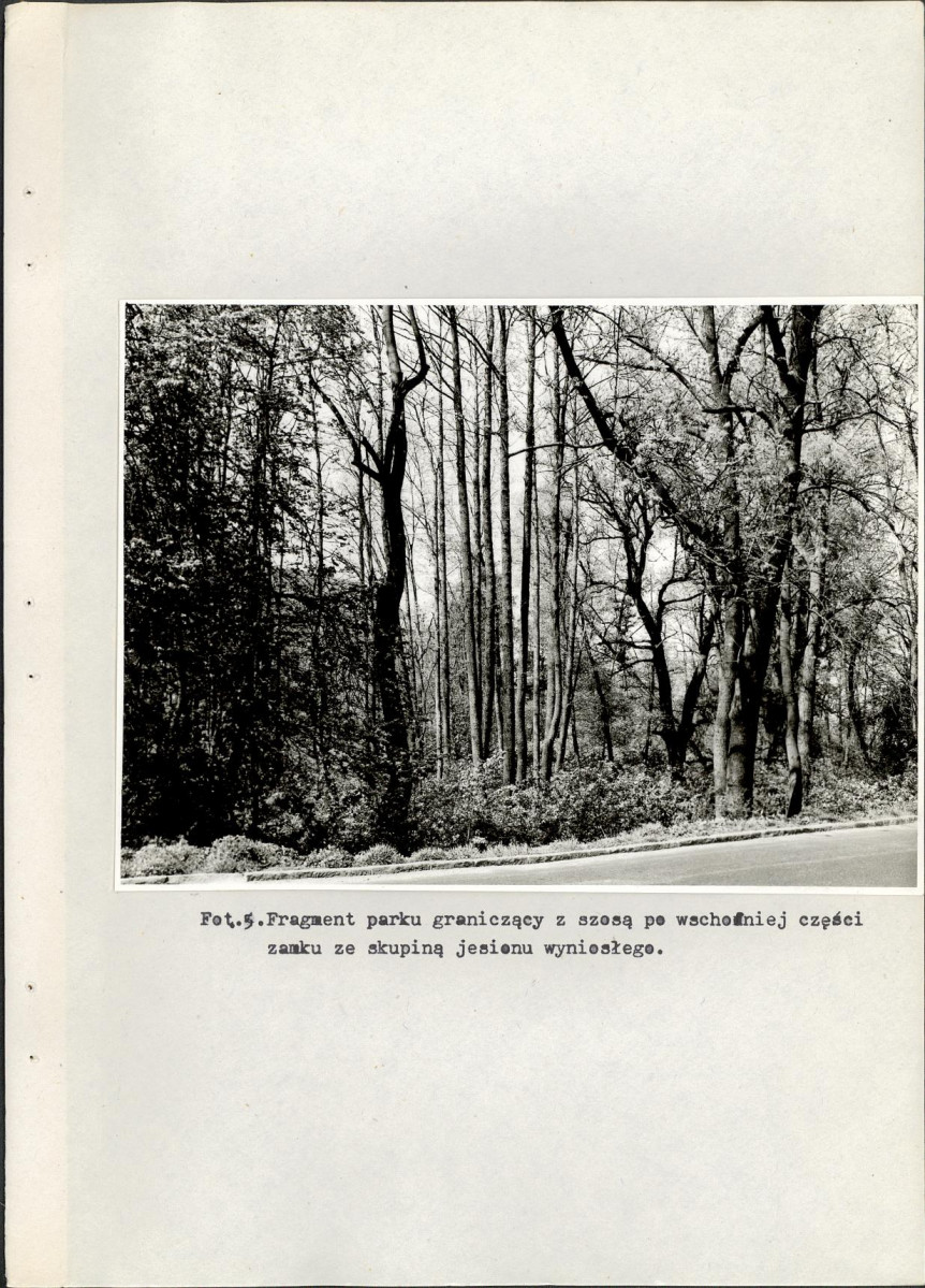 EP - Ewidencja parkowa, skan nr 27