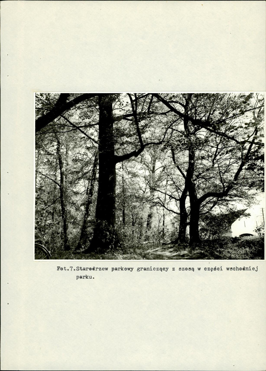 EP - Ewidencja parkowa, skan nr 29