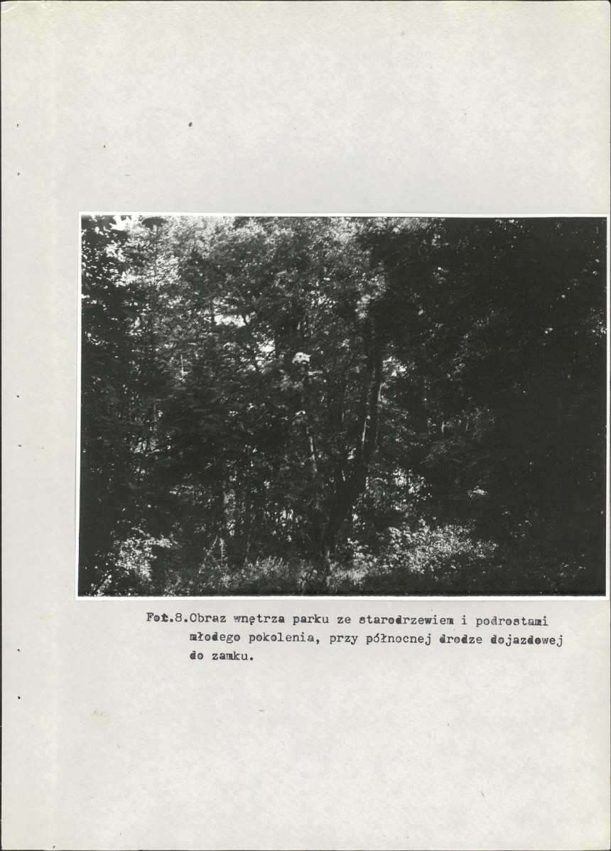 EP - Ewidencja parkowa, skan nr 30