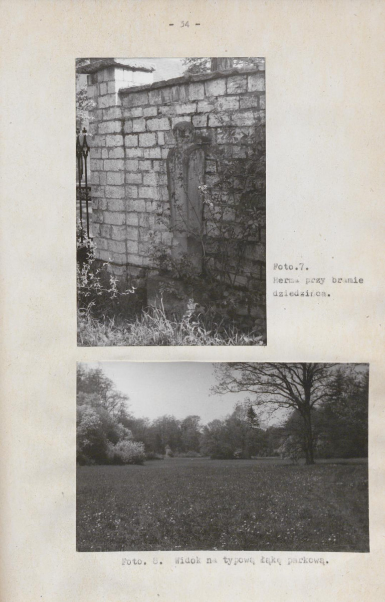 Ewidencja parkowa, skan nr 40