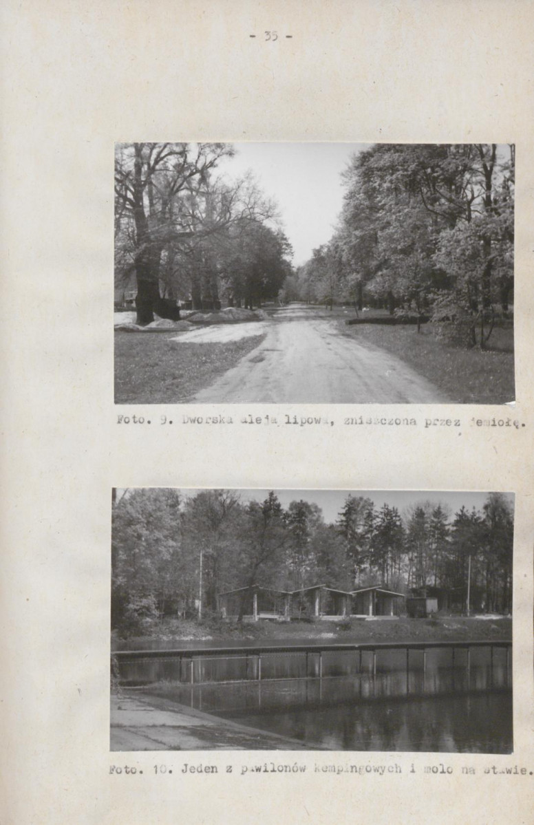 Ewidencja parkowa, skan nr 41