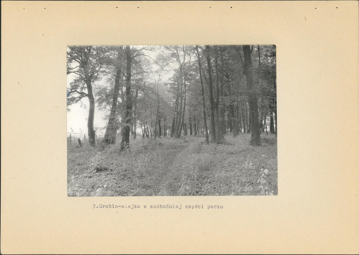 EP - Ewidencja parkowa, skan nr 20