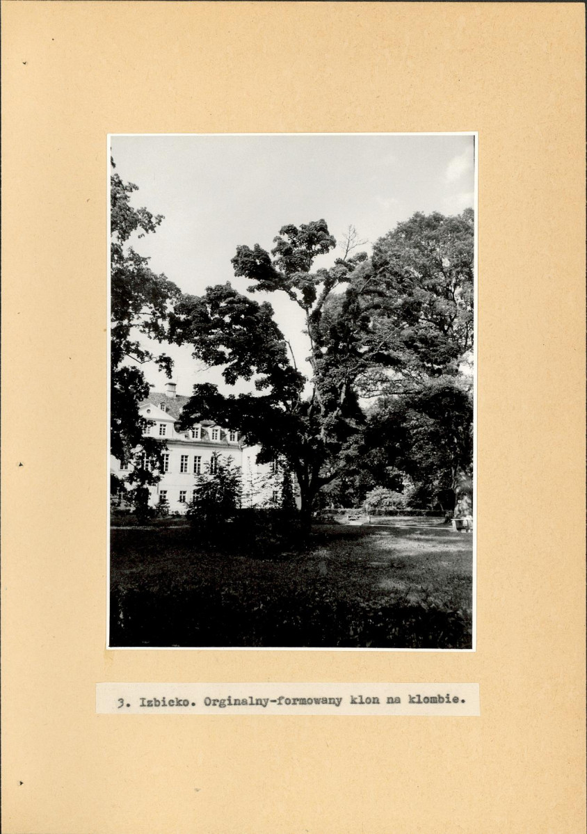 EP - Ewidencja parkowa, skan nr 28