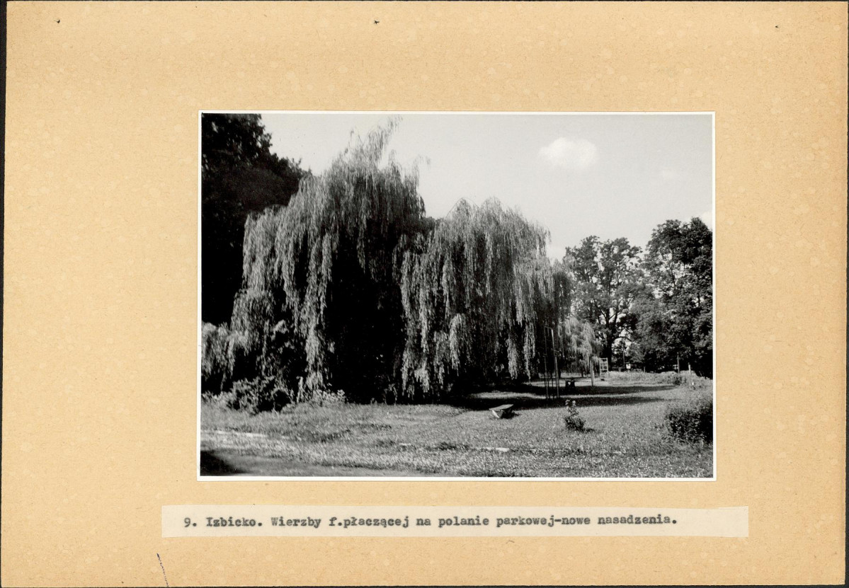 EP - Ewidencja parkowa, skan nr 34