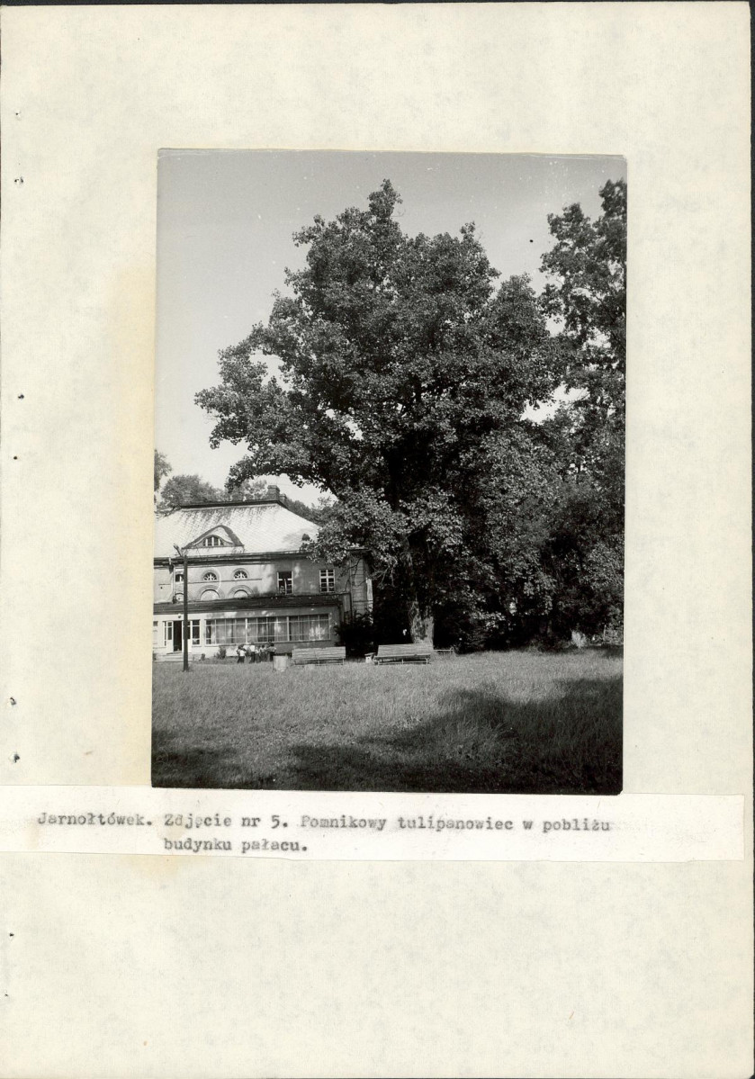 EP - Ewidencja parkowa, skan nr 23