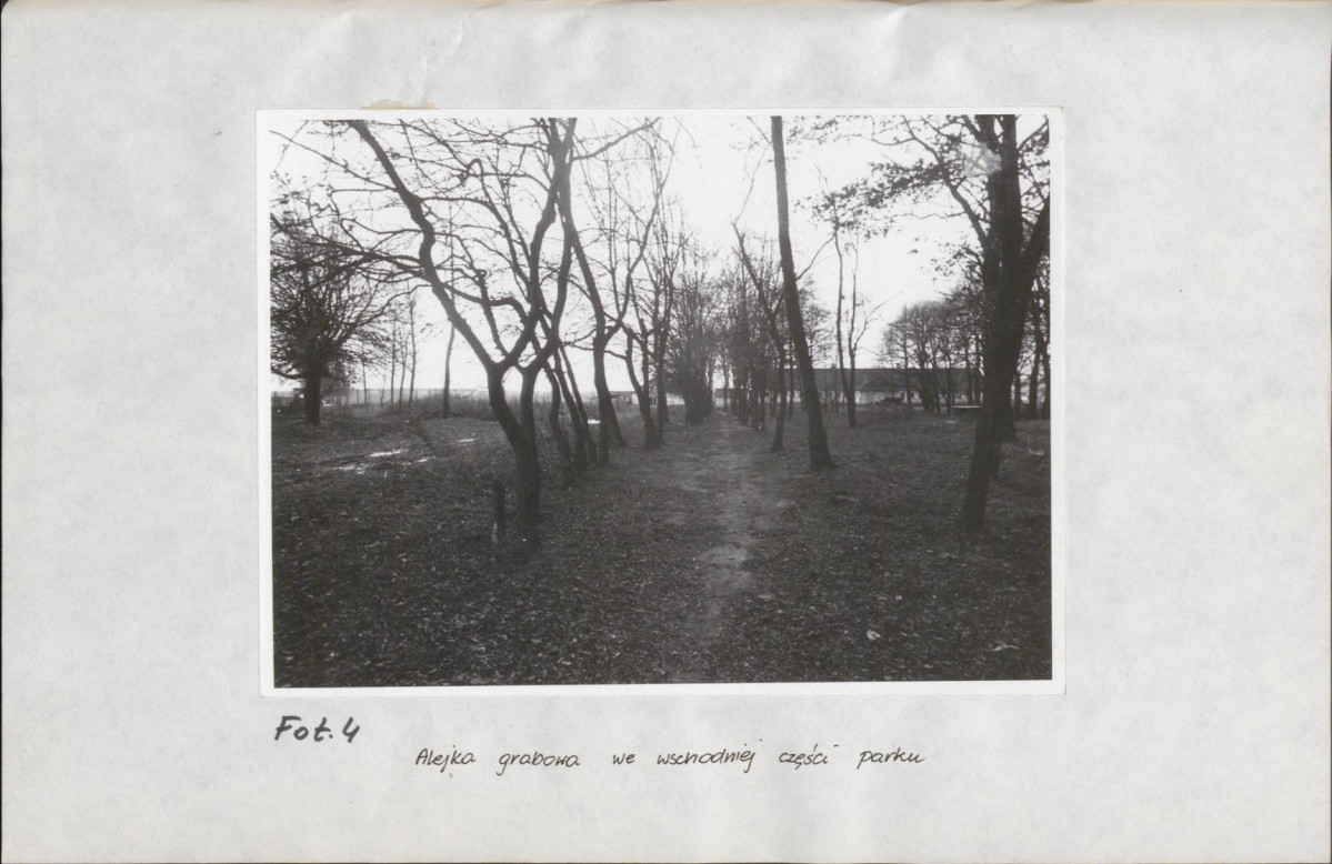 Ewidencja parkowa, skan nr 21