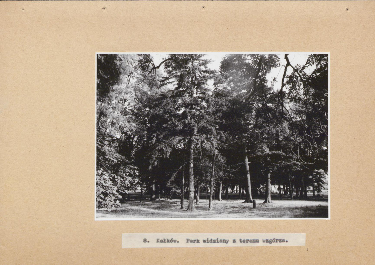 EP - Ewidencja parkowa, skan nr 26