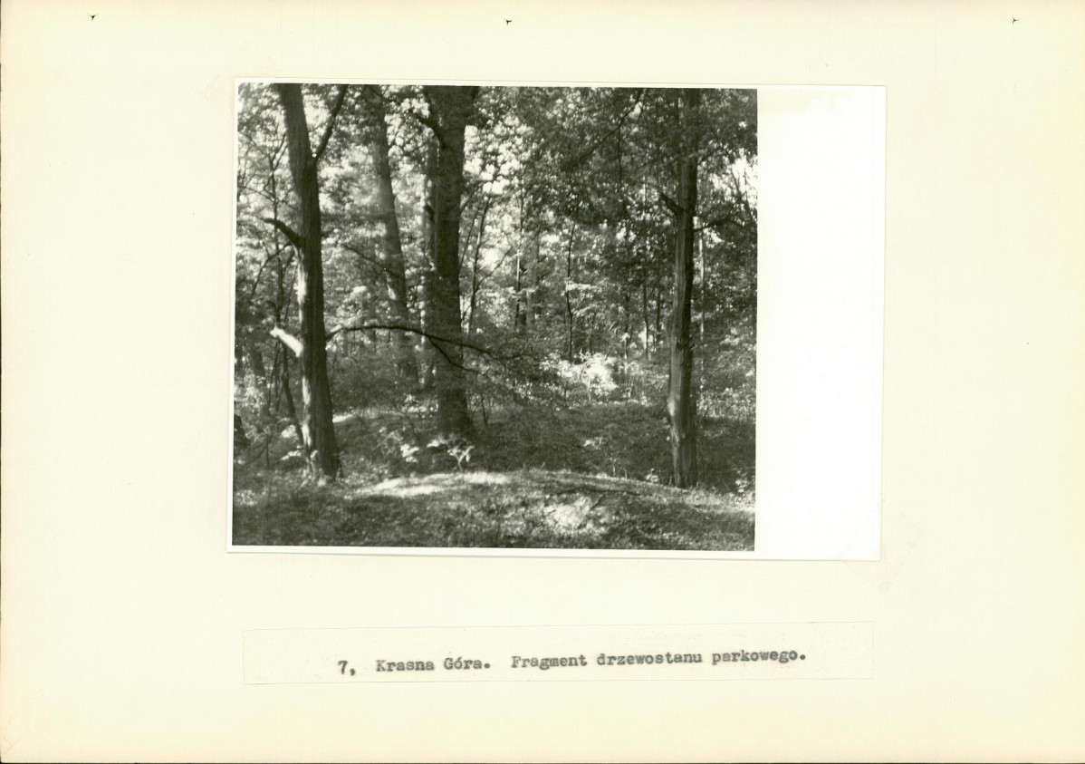 EP - Ewidencja parkowa, skan nr 28