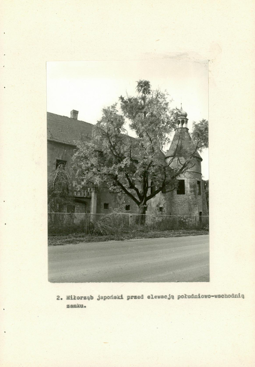 EP - Ewidencja parkowa, skan nr 21