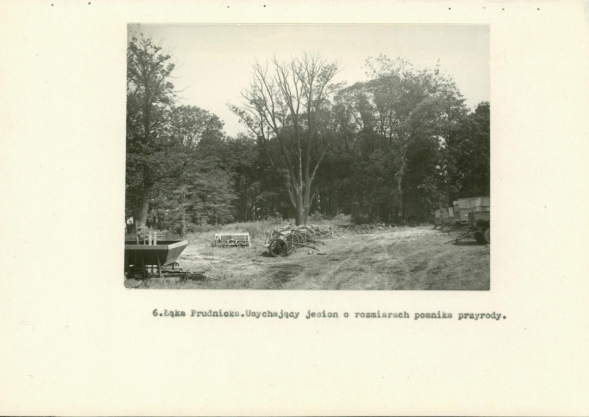 EP - Ewidencja parkowa, skan nr 25