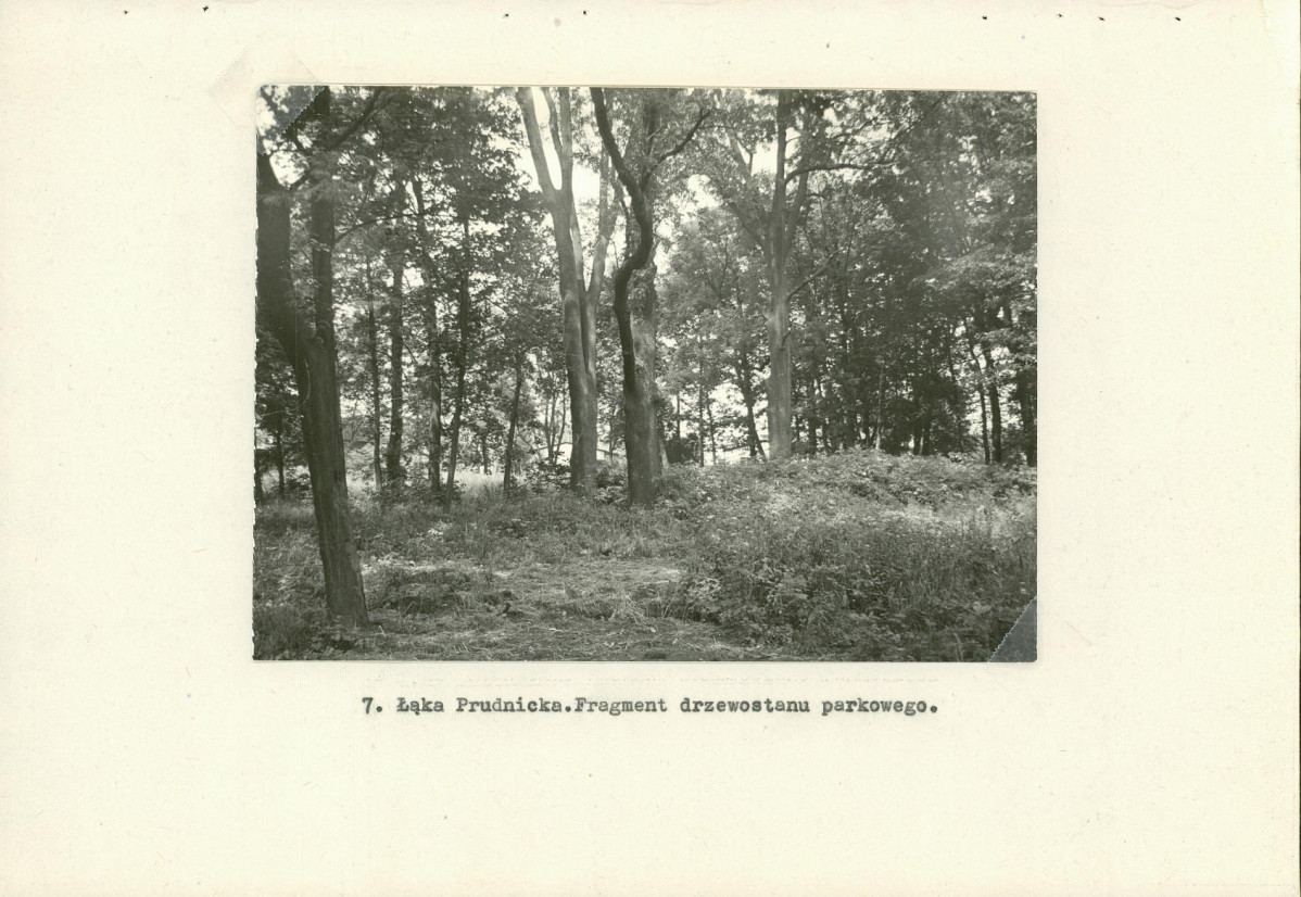EP - Ewidencja parkowa, skan nr 26